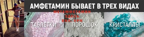 прущие грибы Баксан
