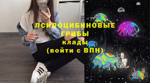 прущие грибы Баксан