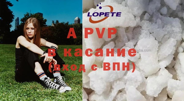 прущие грибы Баксан