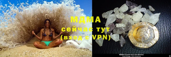 прущие грибы Баксан