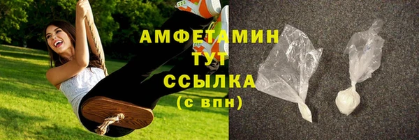 прущие грибы Баксан