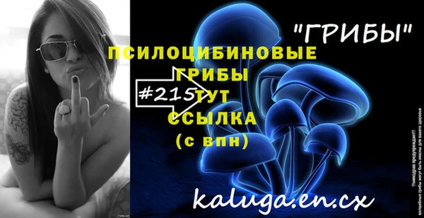 прущие грибы Баксан