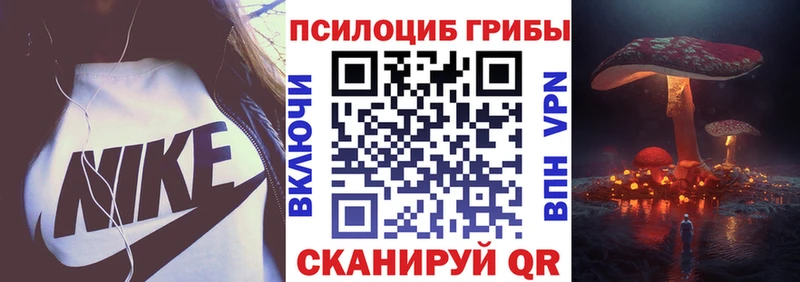 что такое   Рудня  Галлюциногенные грибы Cubensis 
