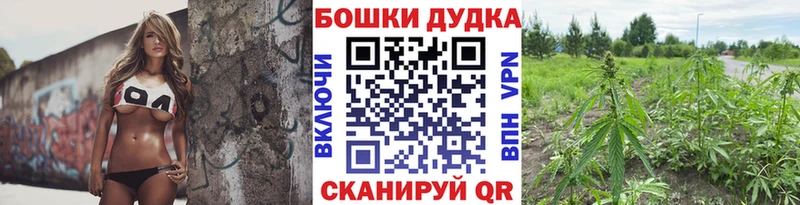Шишки марихуана AK-47  где найти наркотики  Рудня 